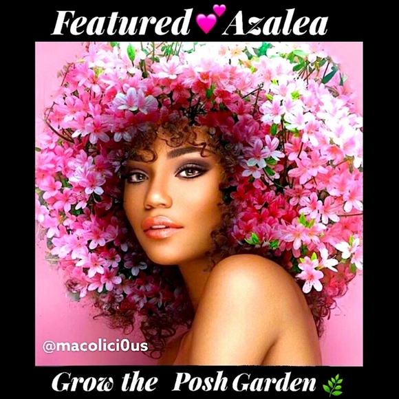 I'm featured 12/10/22host @macolici0us thank you! - Picture 6 of 9